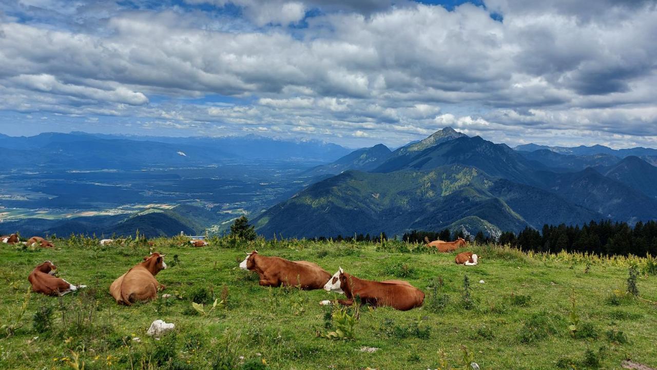 Apartma Krvavec - Cosy Mountain Retreat Cerklje na Gorenjskem Eksteriør bilde